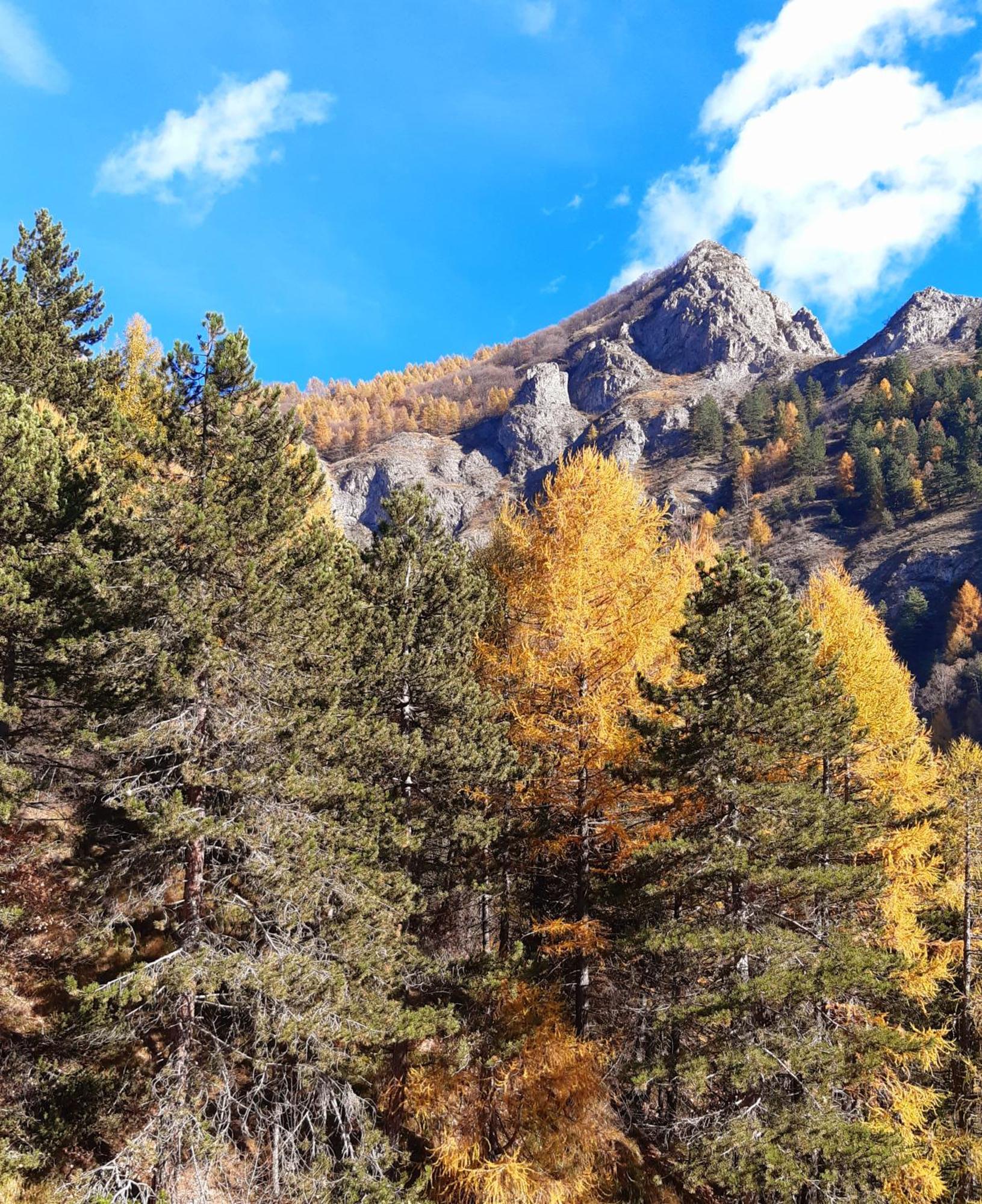Alloggio Vinadio Esterno foto